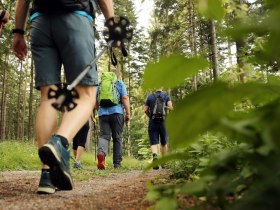 Wanderer mit Wanderstöcke, © (C) weinfranz