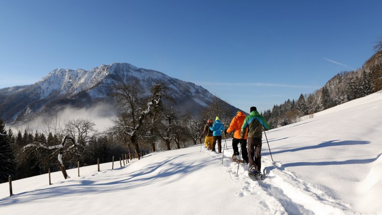 Snowshoeing in Lunz am See, © schwarz-koenig.at