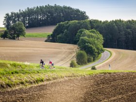 Roadbike Wirtshauskult(o)ur – RadGenuss in NÖ, © (C) Wiener Alpen