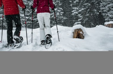 Schneeschuhwandern, © Gerald Demolsky