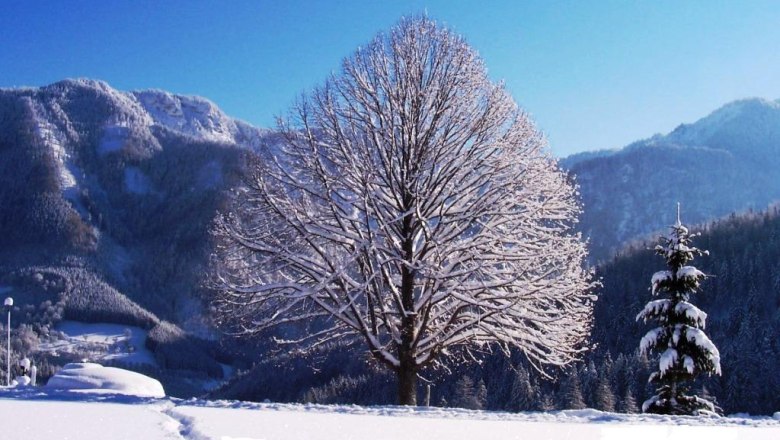 Schaureith im Winter, © Familie Enöckl