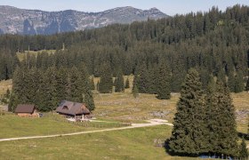 Feldwiesalm, © Theo Kust