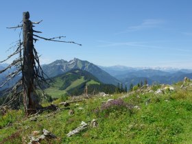 Haute Route 11. Etappe: Göstling – Hollenstein, © Mostviertel