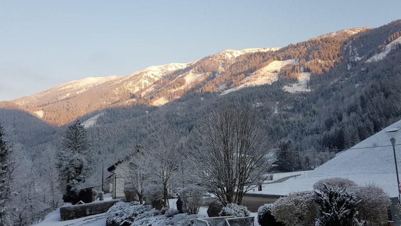 winterlicher Gamsstein, © Gasthof Stiegenwirt