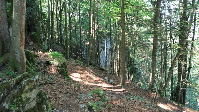 Schluchtenweg Opponitz, © Gemeinde Opponitz