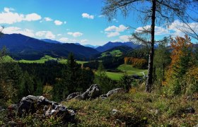 Panoramasteig Steinkogel Sonnstein, © (C) Heidi Zettel