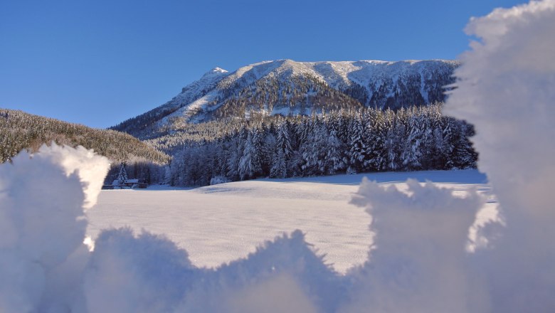 Ötscher Tourismusverband im Winter, © Marika Roth