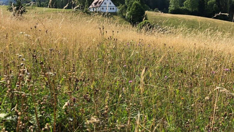 Ferienhaus Hinterbreiteneben, © zVg Johannes Hoyos