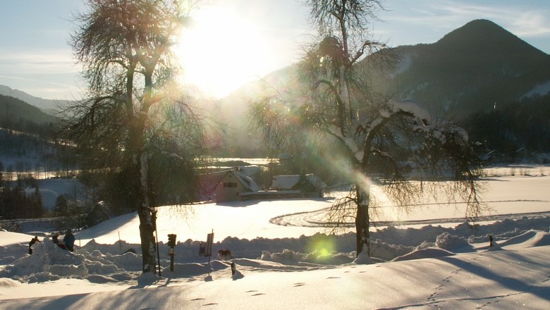 Winterlandschaft, © Gasthof Stiegenwirt