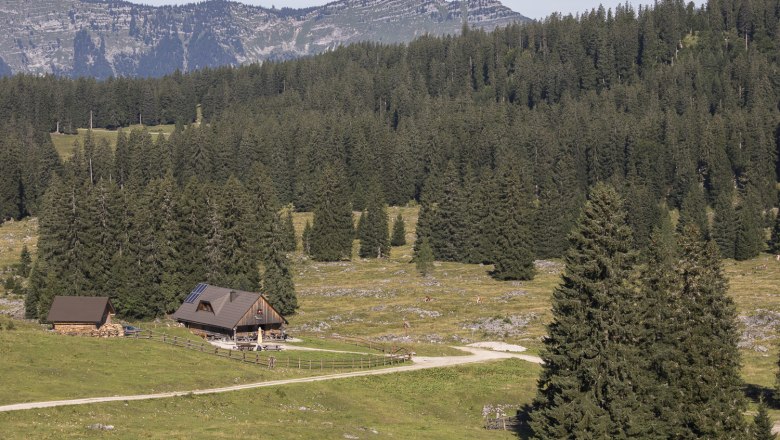 Feldwiesalm, © Theo Kust