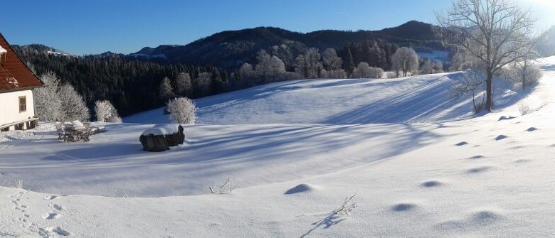 Ferienhaus Hinterbreiteneben Winteransicht, © zVg Johannes Hoyos