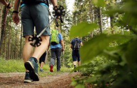 Wanderer mit Wanderstöcke, © (C) weinfranz