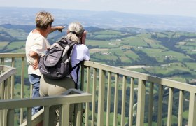 Auf dem Prochenberg, © weinfranz.at