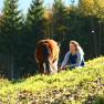 urlaub-beim-almbauer-5, © Almbauer-Familie Wagner