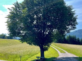 Grabenrundweg Opponitz, © (C) RudiKefer