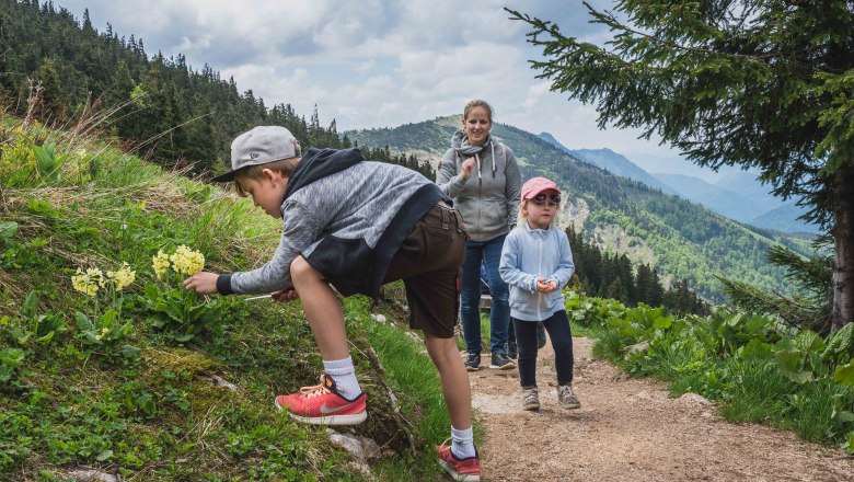 Hiking, © Familie Demolsky