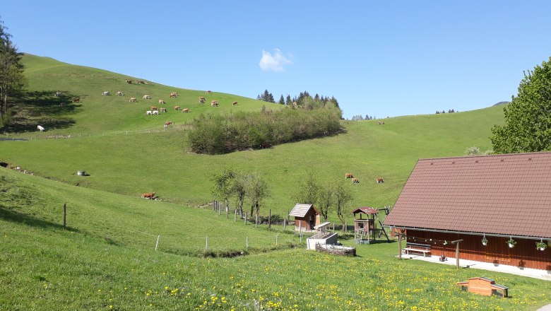 glückliche Kühe am Bio-Bauernhof, © Andrea Kronsteiner