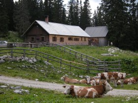 Hochkar - Ringkogel - Schwarzalm - Hochreit, © Mostviertel