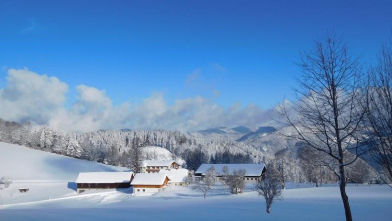 Winter Bauernhof Köhr, © Bauernhof Köhr