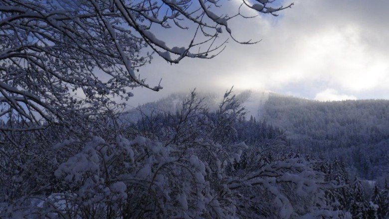 Ausblick auf die Piste kl. Ötscher, © Familie Prem