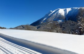 Mandlboden-Loipe, © Gerhard Pechhacker