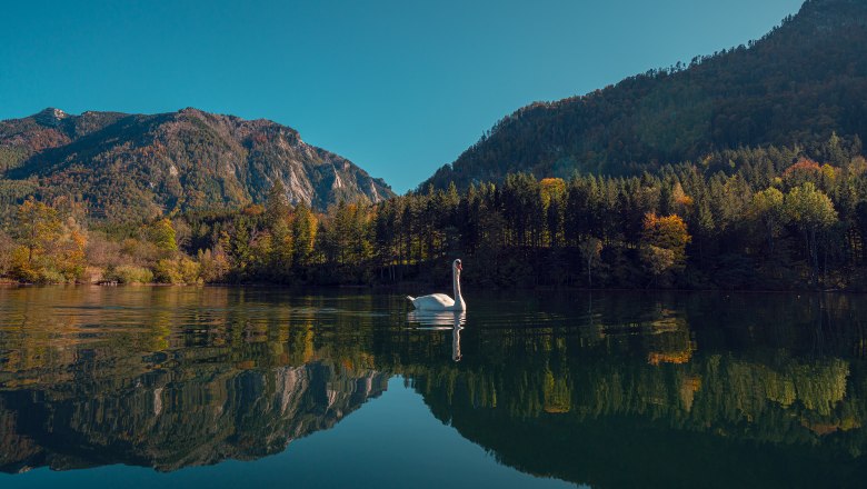 Mit Blick auf den einzigen Natursee Niederösterreichs, © Schlosstaverne Lunz/Martin Stellnberger