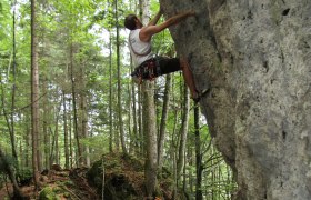 Pure nature in the Schluchtenweg, © Ybbstal Climbing