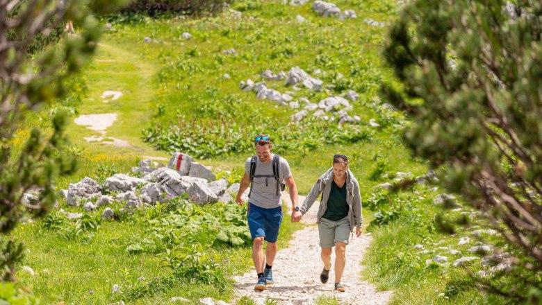 Gemütliche Wanderungen erwarten die Gäste, © Ludwig Fahrnberger