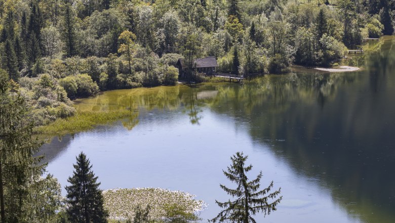 Almgasthaus Rehberg, © Theo Kust