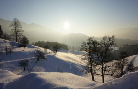 Winters in Opponitz, © Tatjana Stangl