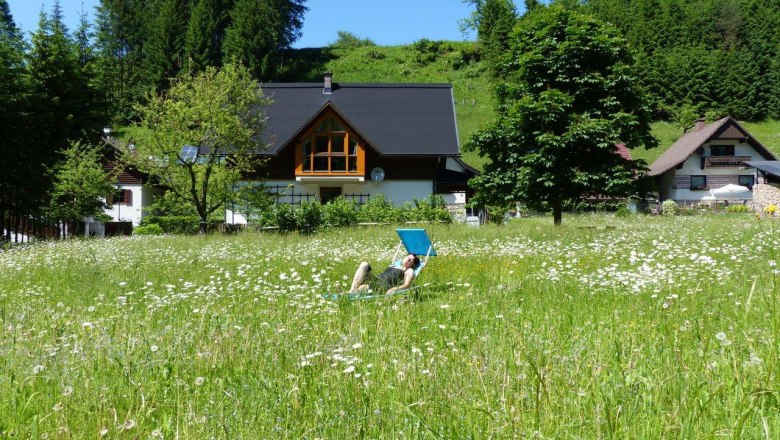 Ferienwohnung Göstling im Sommer, © Fritz Hayder