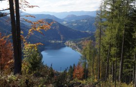 Blick auf den Lunzer See, © TB Lunz am See