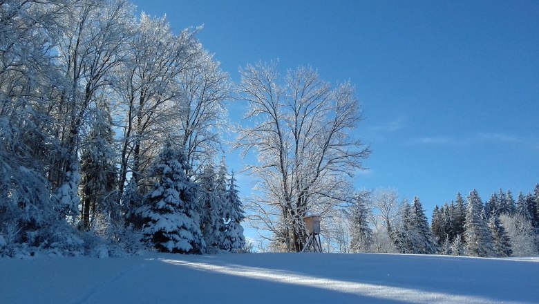 Winter, © Zwickelreih