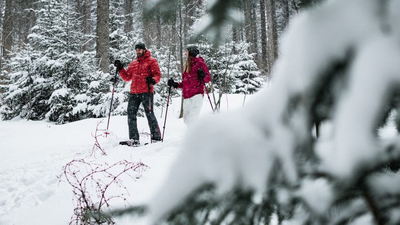 Erlebnis auf Schneeschuhen, © Gerald Demolsky