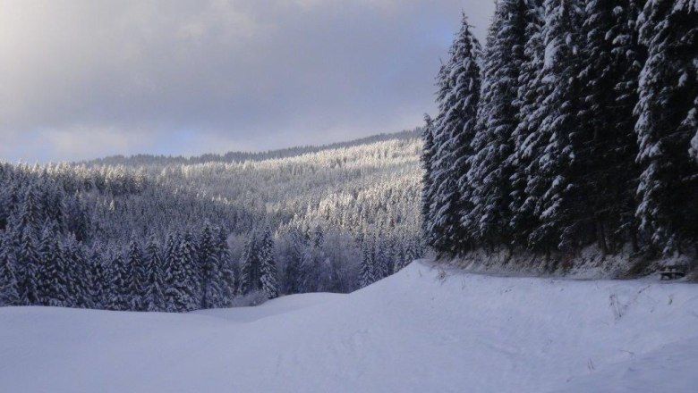 Hinter unserem Haus beginnt der Schneeschuhwanderweg Kesselgraben, © Familie Prem