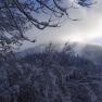 Winter in Lackenhof, © Familie Prem