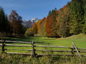 Blick zum Forsthaus, © Mostviertel