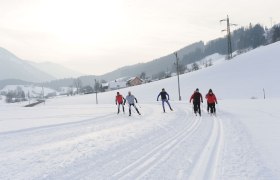 Langlaufloipe Prolling, © Dominik Stixenberger