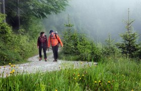 Wandern Opponitz, © Rudi Kefer