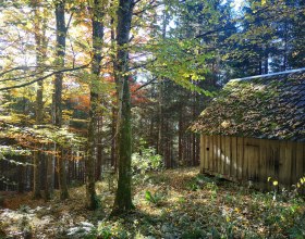 Erholung im Wald, © Ybbstaler Alpen