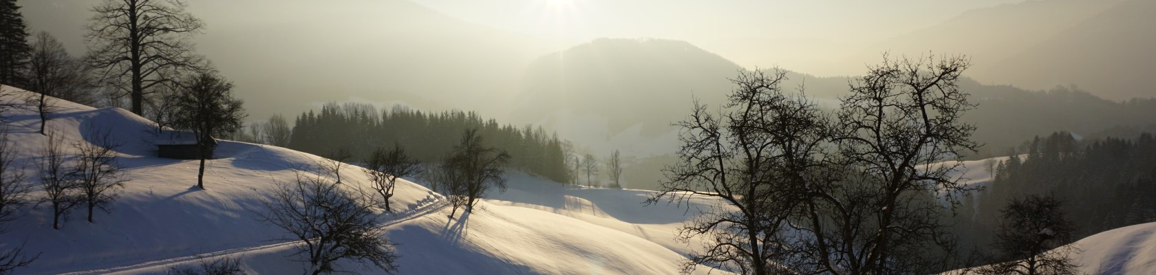 Opponitz im Winter , © Tatjana Stangl