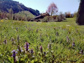 Ferienhäuser Kogelsbach, © S. Heigl / Ferienhäuser Kogelsbach