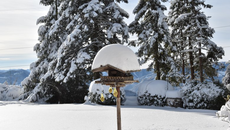 Das Sandlehen im Winter, © Michael Pichler