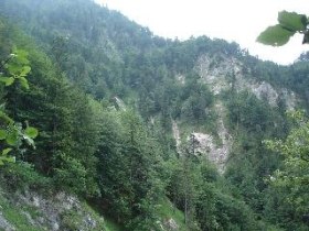 Töpperbrücke - Stiegengraben - Ybbstalerhütte - Lechnergraben - Töpperbrücke, © Mostviertel