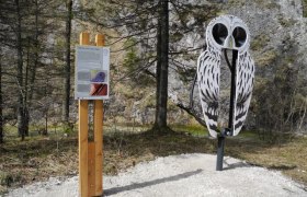 Eulenweg im Wildnisgebiet Dürrenstein, © Reinhard Pekny