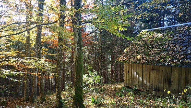 Erholung im Wald, © Ybbstaler Alpen