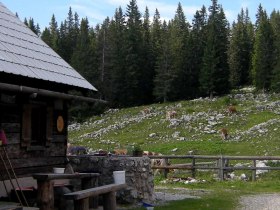 Hochkar - Ringkogel - Schwarzalm - Hochreit, © Mostviertel