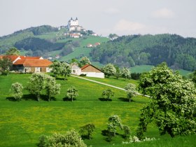 Blick in Richtung Basilika Sonntagberg, © weinfranz.at