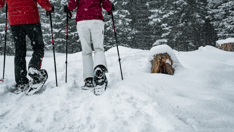 Schneeschuhwandern, © Gerald Demolsky