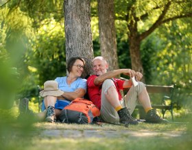 Pilgrimage, © Mostviertel Tourismus, weinfranz.at